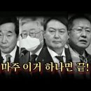 푸른컴퍼니 영신정공본사점 | "걔네들이 동문이야?" 정치 테마주(대통령, 서울시장) 총정리!!!