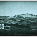 꽃뫼약국 이미지