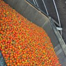 난타(오후) 이미지