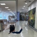 정글북(극단 레미) 이미지