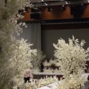 서초2삼성어린이집 | [Wedding#2] 삼성 서초사옥 예식장 암행투어 다녀온 솔직 방문 후기