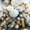 중앙회집 이미지