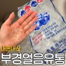 부경얼음