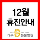 대구S동물병원 이미지