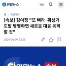 [속보] 김여정 "또 삐라·확성기 도발 병행하면 새로운 대응 목격할 것" 이미지