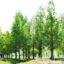 감정코칭심리상담사 이미지