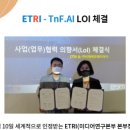 티엔에프(TNF) 이미지