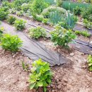 수산리농장 이미지