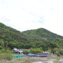 다시올민박 이미지