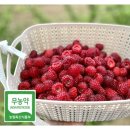 송라루