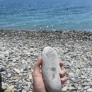 피치모텔 | 18-21.05.24 Nice🏖️上_ photo dump with fuji x100f