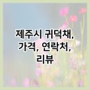 귀덕채