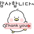 압구정씨엔 이미지