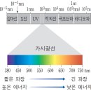 광합성 색소와 빛의 파장 이미지