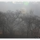 흑석 노루벌길 이미지