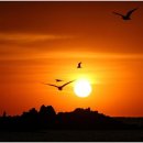 건강사랑 이미지