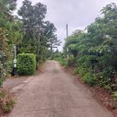 고성리-6 이미지