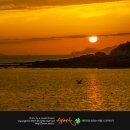 산포별장 이미지