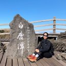 제주도 한라산 게스트하우스 추천 : 또랑게스트하우스 등반 픽업부터 챙겨주는 음식까지 완벽!