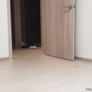 나비공인중개사사무소 이미지