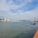 산청(통영) 이미지