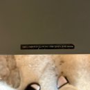 스타벅스 정관신도시D/T점 | 나 놀러나가야되는데 블챌 시작하면 어떠괘