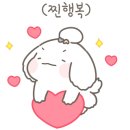 런드리95