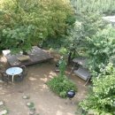 그린토피아 이미지