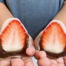 궁전떡집 | 달콤 상큼한 홈 디저트 🍓 궁전떡집 딸기모찌10개 솔직 후기 (65g×10개)