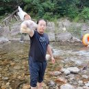 오대산숯