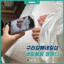 갈매 젤네일 가성비 좋고 깔끔한 패디 네일혜윰 방문후기!