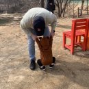 [아이와 가기 좋은 카페] 가평 정원카페 코미호미 후기