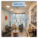 유복실 배수 문제 해결 후기와 관리 방법