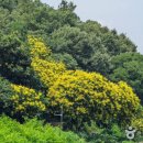 경산국민체육센터 이미지