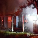 종천(목포) 연합뉴스