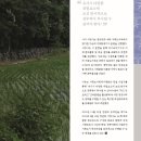 대지여행사