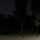 수민쭈꾸미 이미지