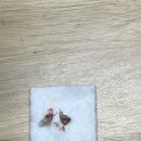 페츠온 동물병원 이미지