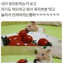 냠냠