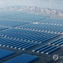 김용수농장 이미지