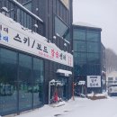 [비버네스키스쿨] 알펜시아스키강습 비버네강습센터 스키보드 전문 강습센터 후기