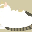 센트웰 작은도서관 이미지