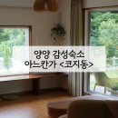 강원도 양양 촌캉스 즐길 수 있는 감성숙소 아느칸가 코지동 후기