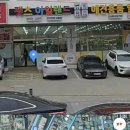 펫츠 아일랜드 이미지