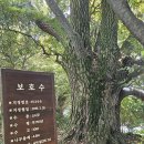 멸치 섬에서 생태 여행지로... 다시 태어나는 여수 대횡간도 이미지