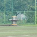 상북면민운동장 운동시설 네이버블로그