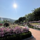 여행 코스 :: 조선대학교 장미원 전일빌딩245 국립아시아문화전당 충장로 펭귄벽화마을 그라제 1985 하원재