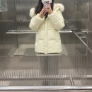 26500-80-02-003 | 올겨울 위시리스트, 파스텔 노란색 여성 숏패딩 5가지 모음