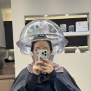 별내동 덕송1로 55번길 | 별내동미용실 에이바헤어 별내별가람역점에서 클리닉 받은 후기