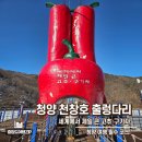 청양 천장호 출렁다리 주차 정보 다리 안 건너도 충분한 포토존 후기